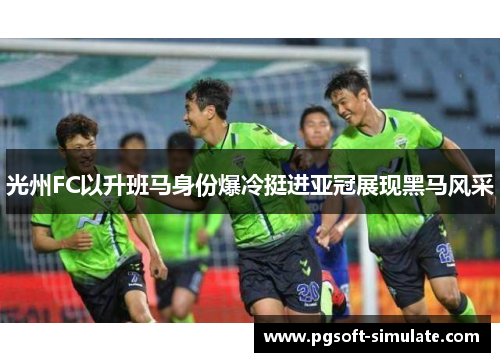 光州FC以升班马身份爆冷挺进亚冠展现黑马风采 光州FC以升班马身份爆冷挺进亚冠展现黑马风采